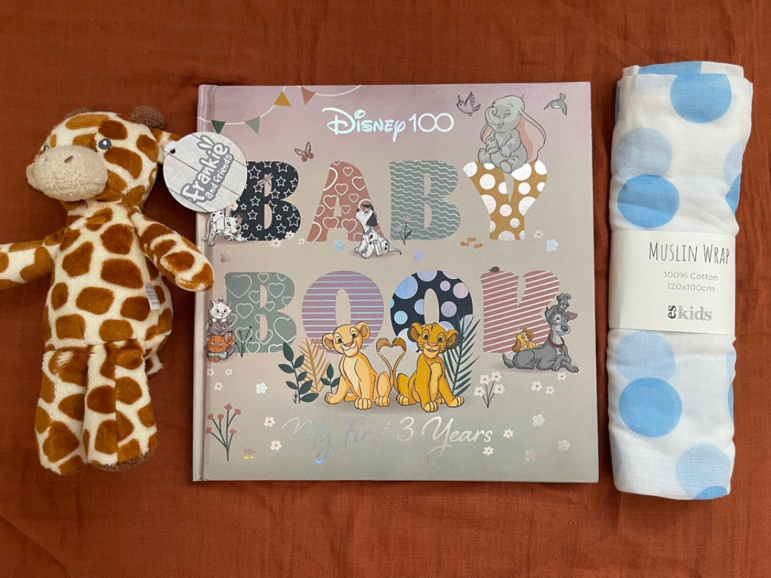 Thrifted Stories Disney Baby Bundle