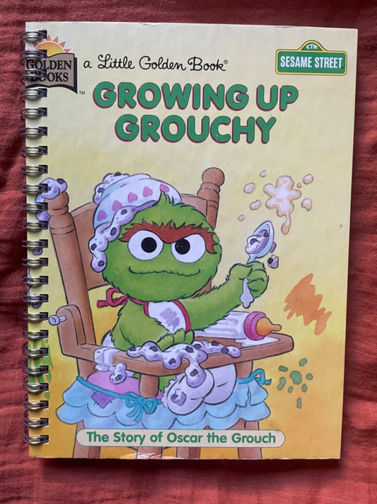 Thrifted Stories Little Golden Notebook- Growing up grouchy