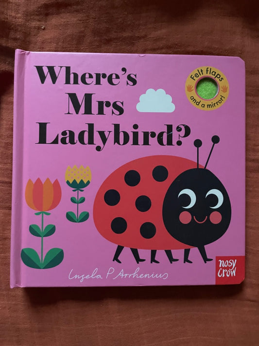 Thrifted Stories Where's Mrs Ladybird?