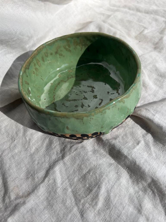 Rainbows & Rivers Minty Spot Bowl,  Green