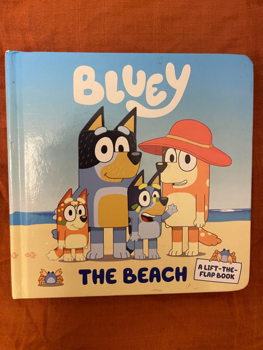 Thrifted Stories Bluey- the beach