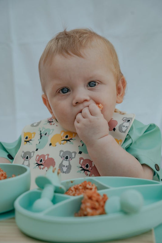 Tucker Tots Baby Feeding & Play Smock,  Mint Green