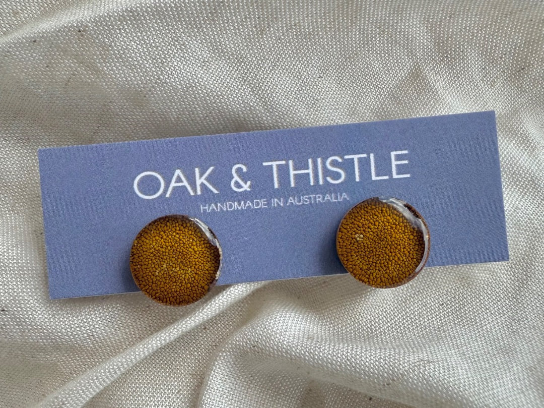 Oak & Thistle Lunar Stud Earrings,  Mustard