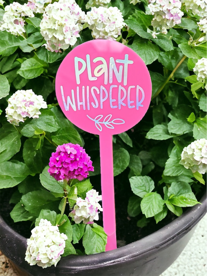 Oopsie Daisy Collections Plant whisperer plant stake,  Pink