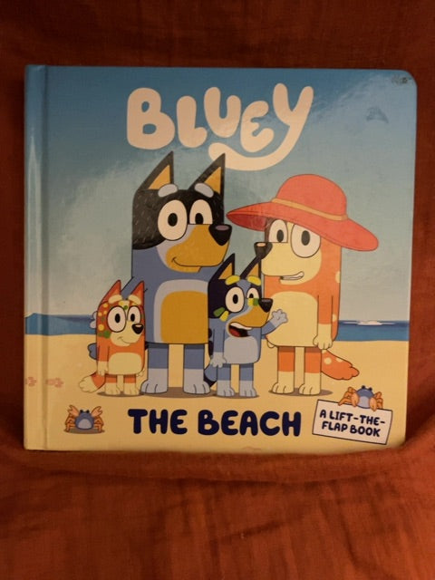 Thrifted Stories Bluey- the beach